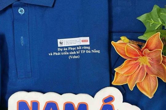 ĐỒNG PHỤC ÁO THUN DỰ ÁN PHỤC HỒI RỪNG VÀ PHÁT TRIỂN SINH KẾ TP ĐÀ NẴNG ( Velux)